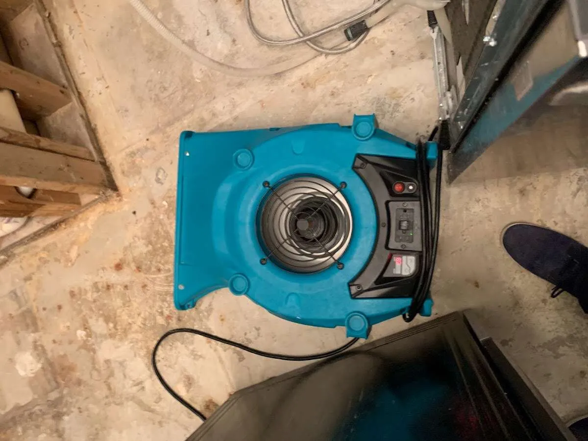 Air mover drying equipment for Mold Remediation & Removal in Perry